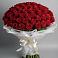 101 Красная роза Блэк Мэджик в Сухиничах Букет 101 Красная роза Блэк Мэджик в Сухиничах