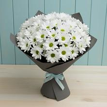 Букет белые хризантемы #REPLACE_PRED# Сухиничах Букет цветов из:  Хризантемы #REPLACE_PRED# Сухиничах