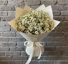 Букет Кустики радости в Сухиничах Букет цветов из:  Ромашки в Сухиничах