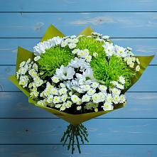 Букет скромность  в Сухиничах Букет цветов из:  Хризантемы в Сухиничах