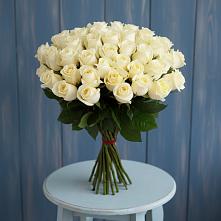 51 Белая роза Эдлесс Лав в Сухиничах Букет 51 Белая роза Эдлесс Лав в Сухиничах