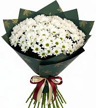 Букет море ромашек в Сухиничах Букет цветов из:  Хризантемы в Сухиничах