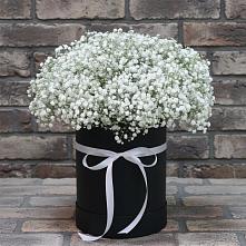Композиция коробка гипсофил #REPLACE_PRED# Сухиничах Цветочная композиция из Гипсофила в шляпной коробке #REPLACE_PRED# Сухиничах